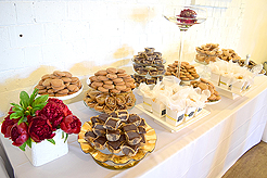 HEATHER CHRISTO BOOK LAUNCH